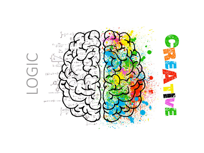 cerveau créatif et logique