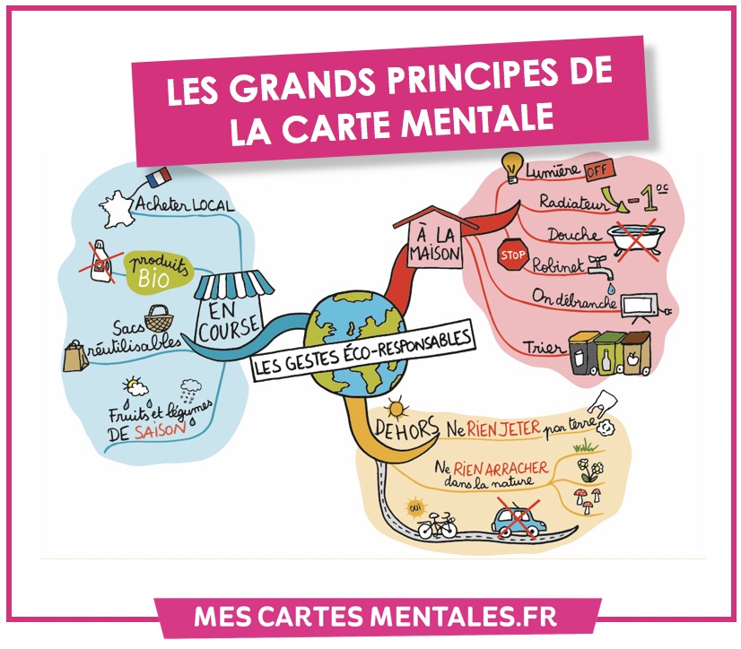 réviser sans fiches avec la mind map ou carte mentale